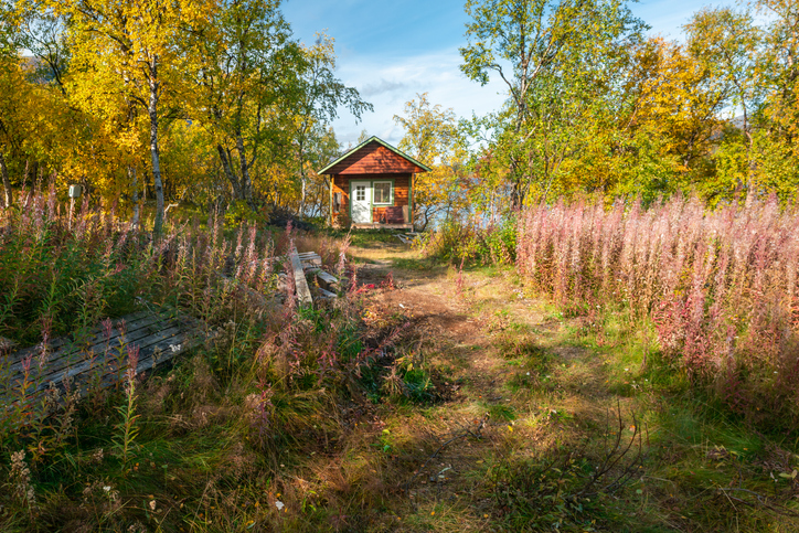 small red wooden cabin in a forest 