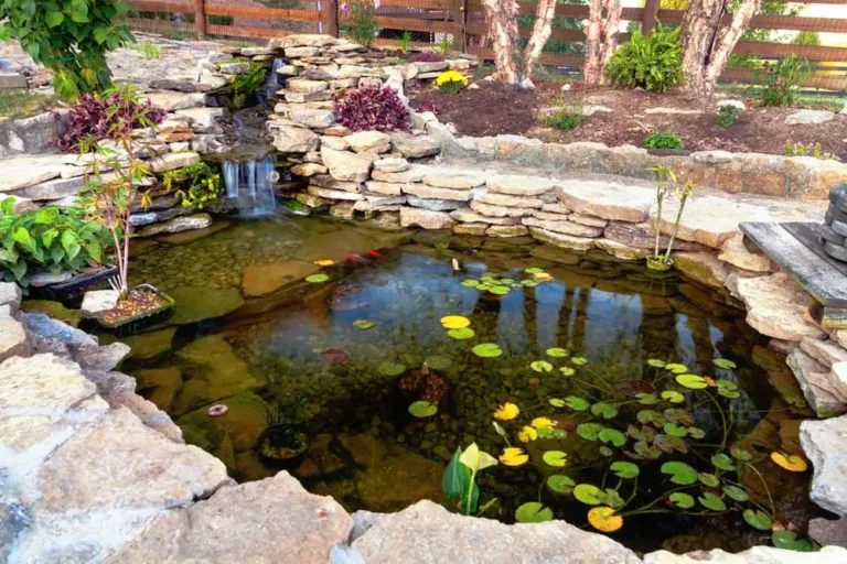How to Build a Backyard Pond With Waterfall