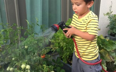 15 Vegetables and Herbs to Plant in April