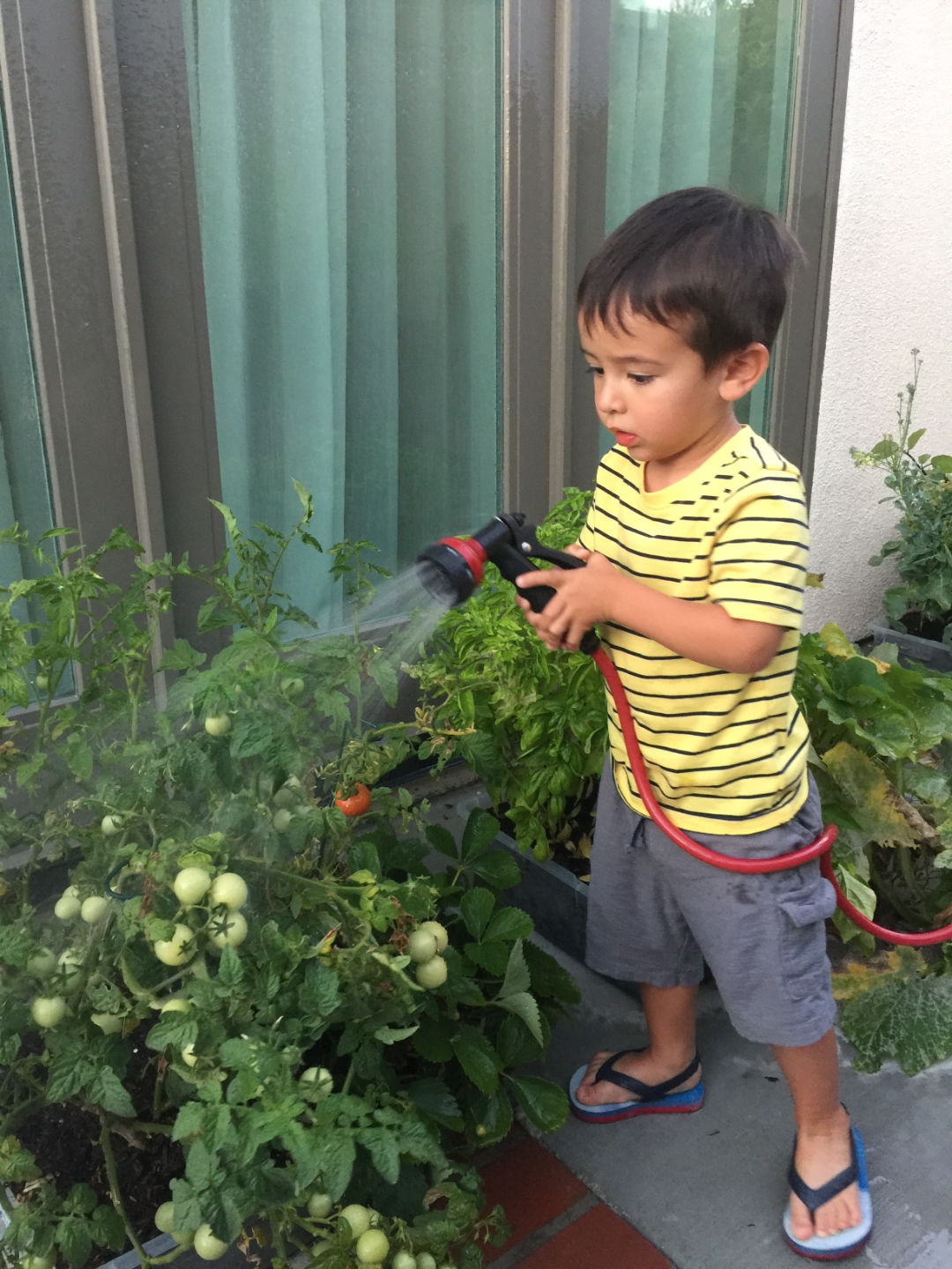 15 Vegetables and Herbs to Plant in April