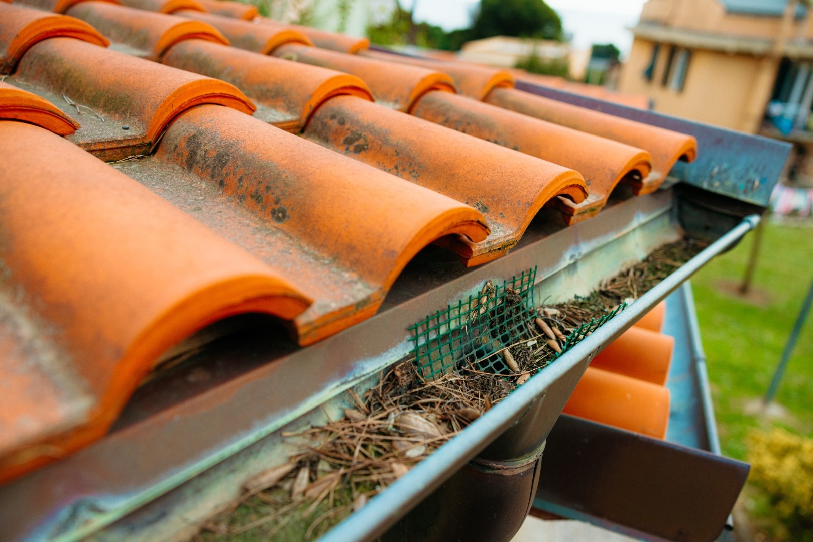 Roof gutters filled with debris and pine needles needing spring cleaning